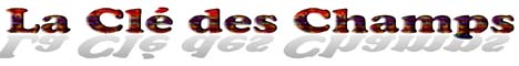MON SITE