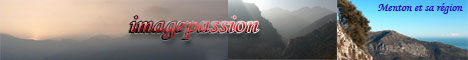 IMAGEPASSION